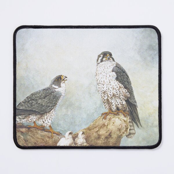 Item preview, Peregrines designed and sold by Christopher Hughes.
