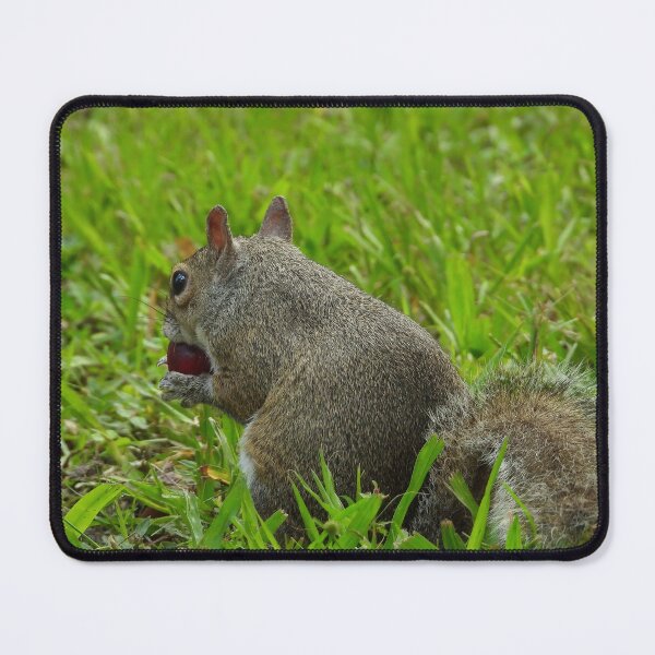 Item preview, Cute Squirrel #115 designed and sold by Jeffrey Mask.