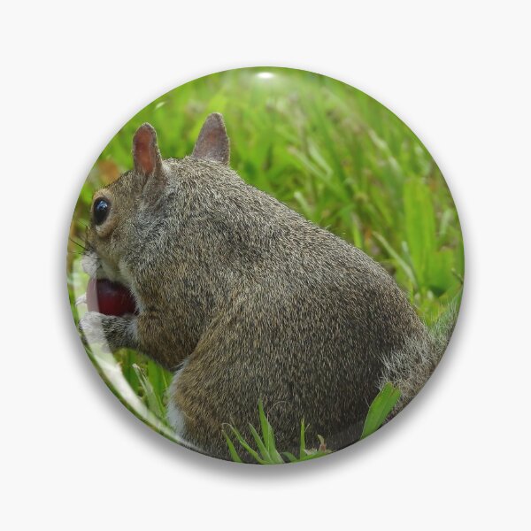 Item preview, Cute Squirrel #115 designed and sold by Jeffrey Mask.