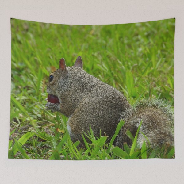 Item preview, Cute Squirrel #115 designed and sold by Jeffrey Mask.