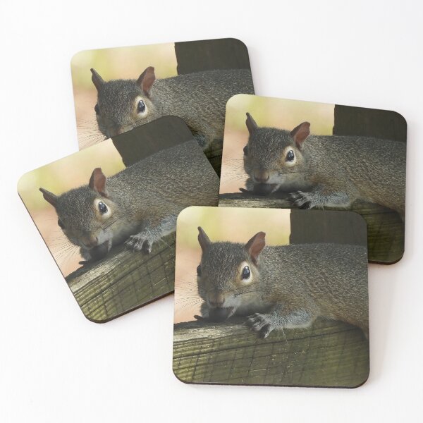 Item preview, Cute Squirrel #116 designed and sold by Jeffrey Mask.