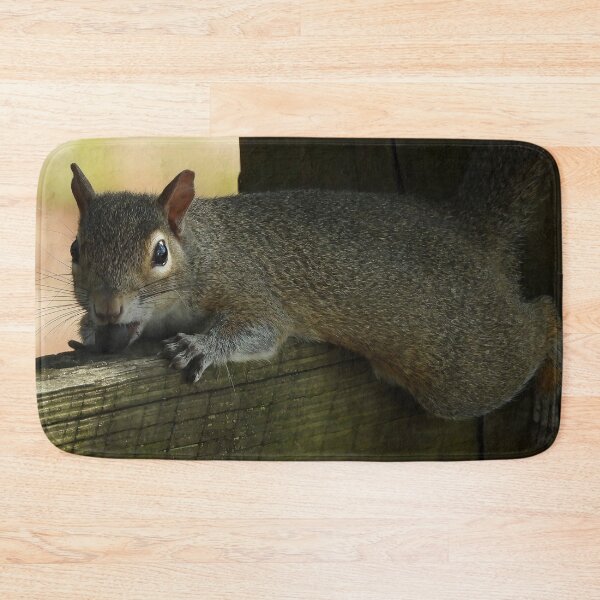 Item preview, Cute Squirrel #116 designed and sold by Jeffrey Mask.