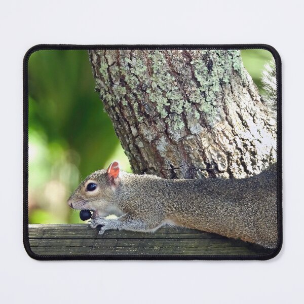 Item preview, Cute Squirrel #119 designed and sold by Jeffrey Mask.