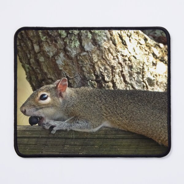 Item preview, Cute Squirrel #118 designed and sold by Jeffrey Mask.