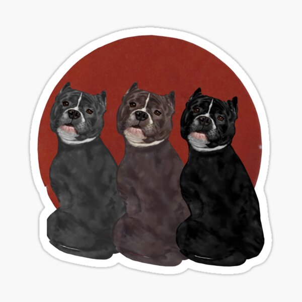 Item preview, Three Cutest American Bully Circle designed and sold by Myloveforpets.