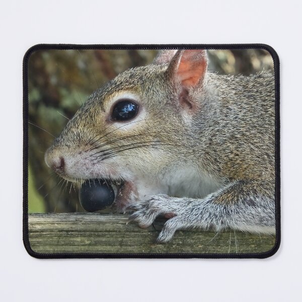 Item preview, Cute Squirrel #117 designed and sold by Jeffrey Mask.