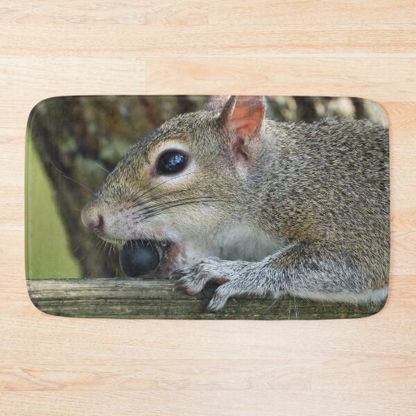 Item preview, Cute Squirrel #117 designed and sold by Jeffrey Mask.