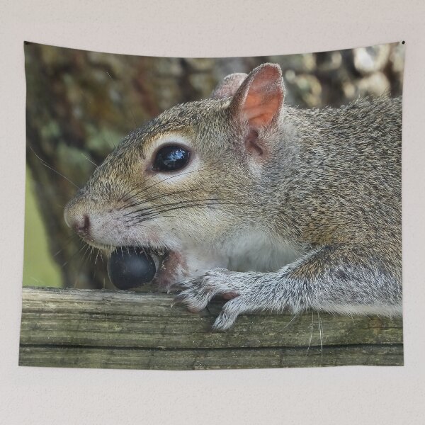 Item preview, Cute Squirrel #117 designed and sold by Jeffrey Mask.