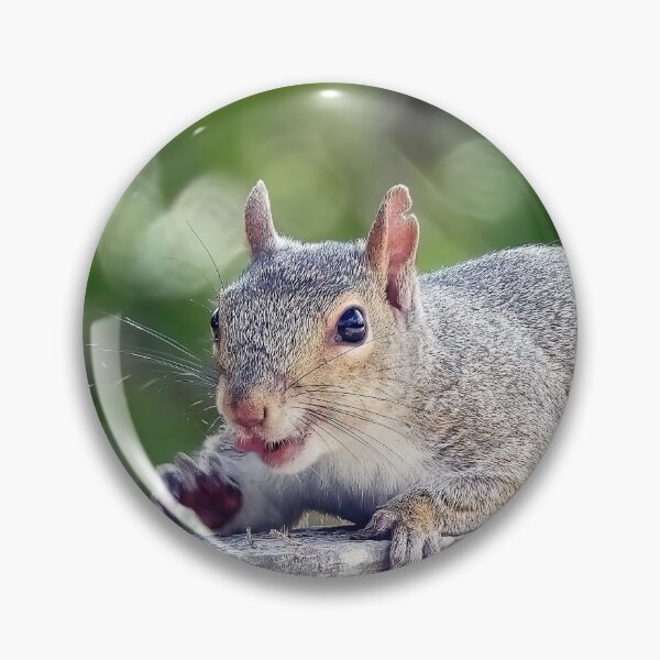 Item preview, Cuite Squirrel #120 designed and sold by Jeffrey Mask.
