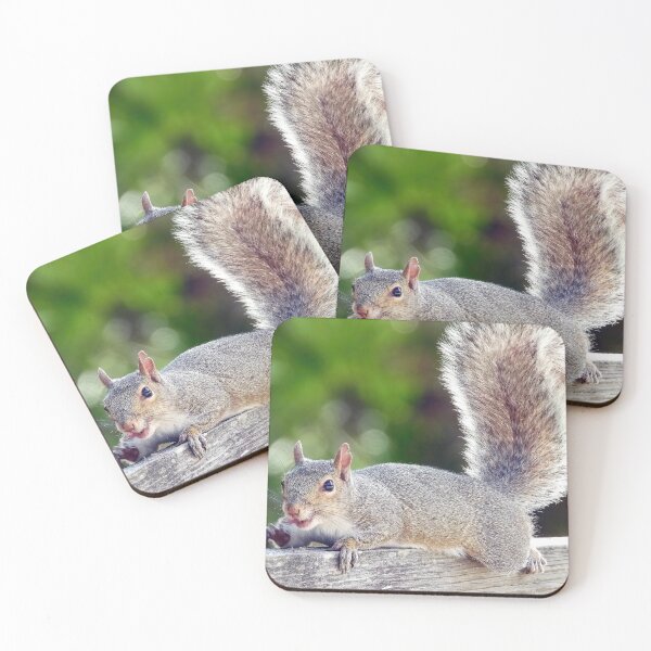 Item preview, Cuite Squirrel #120 designed and sold by Jeffrey Mask.