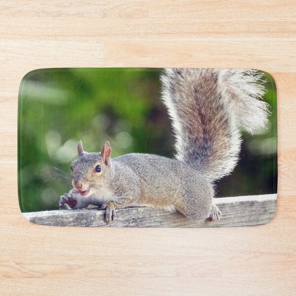Item preview, Cuite Squirrel #120 designed and sold by Jeffrey Mask.