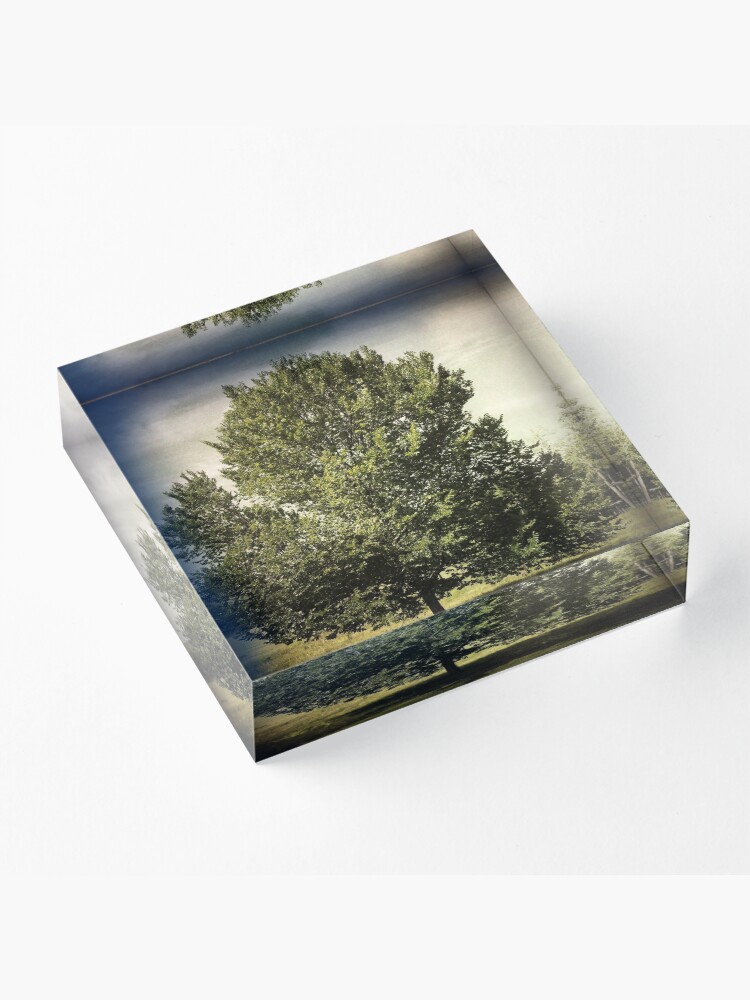 Alternate view of Nature Lovers Gift - Perfect Tree Acrylic Block