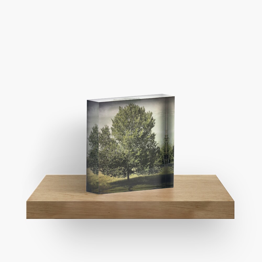 Nature Lovers Gift - Perfect Tree Acrylic Block
