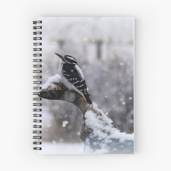 Item preview, Downy designed and sold by ChicksPhoto.