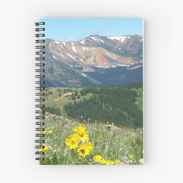 Item preview, View from Guanella Pass designed and sold by BeeGarland.