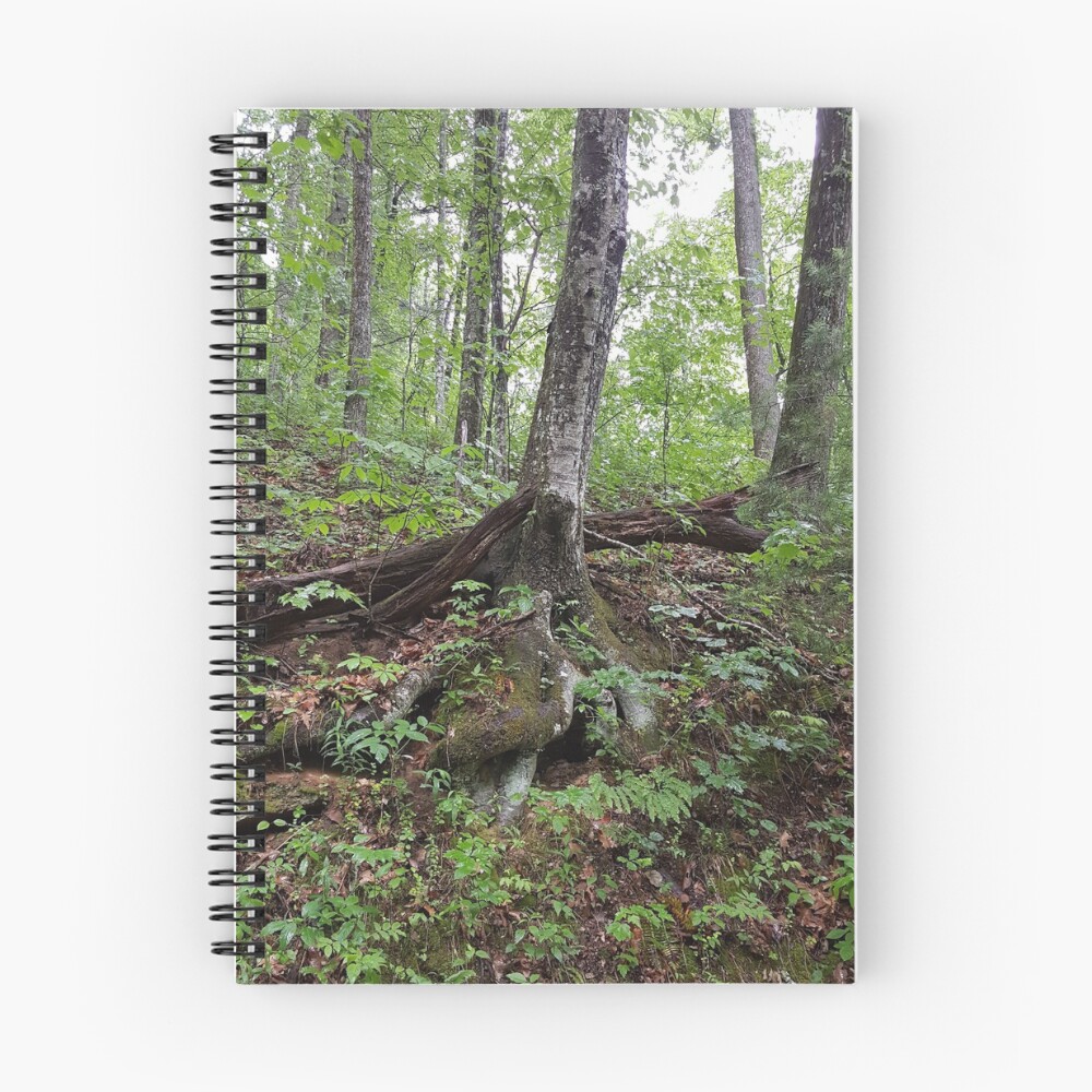Item preview, Spiral Notebook designed and sold by J. Robin Whitley.