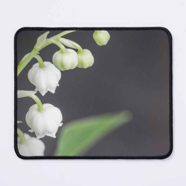 Item preview, Lily of the valley flower in macro with copy space designed and sold by Grégory DUBUS.