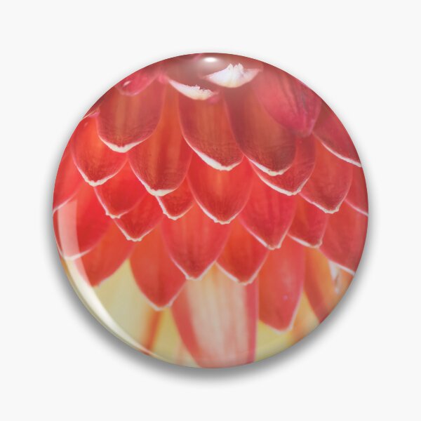 Item preview, Front view of Gerbera daisy coloful flower macro on petals designed and sold by Grégory DUBUS.