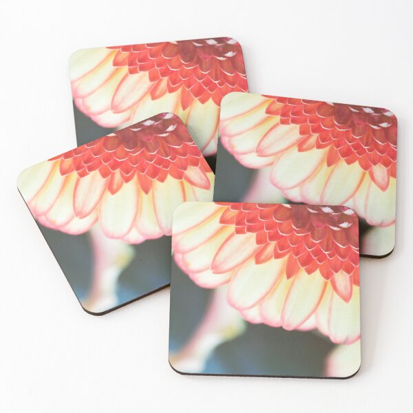 Item preview, Front view of Gerbera daisy coloful flower macro on petals designed and sold by Grégory DUBUS.