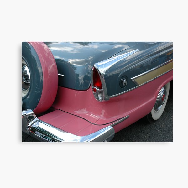 Pink Hornet lll Canvas Print