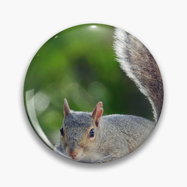 Item preview, Cute Squirrel #122 designed and sold by Jeffrey Mask.