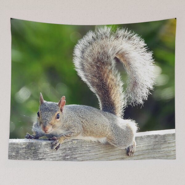 Item preview, Cute Squirrel #122 designed and sold by Jeffrey Mask.