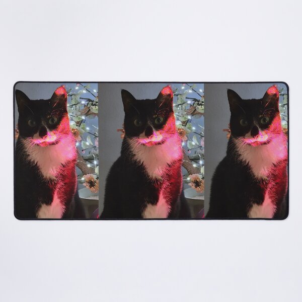 Item preview, Tuxedo cat posing. designed and sold by imyournightmare.