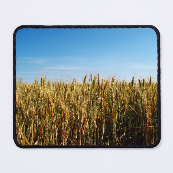 Item preview, Ukraine. designed and sold by Car drawings by Pavlo Scherbatyuk.