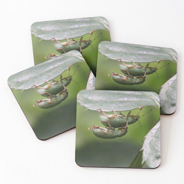 Item preview, Acrobatic Romance designed and sold by cuprum.