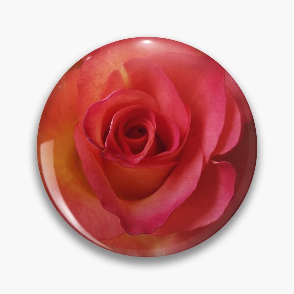 Item preview, Beautiful pink and peach Rose designed and sold by Bumpulous.