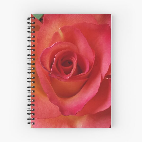 Item preview, Beautiful pink and peach Rose designed and sold by Bumpulous.