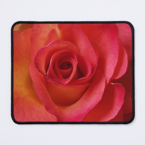 Item preview, Beautiful pink and peach Rose designed and sold by Bumpulous.