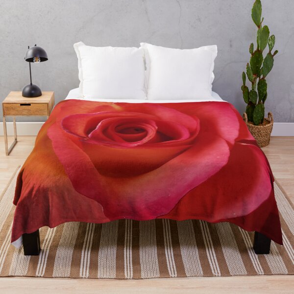 Item preview, Beautiful pink and peach Rose designed and sold by Bumpulous.