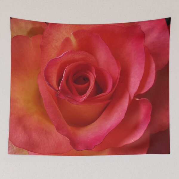 Item preview, Beautiful pink and peach Rose designed and sold by Bumpulous.