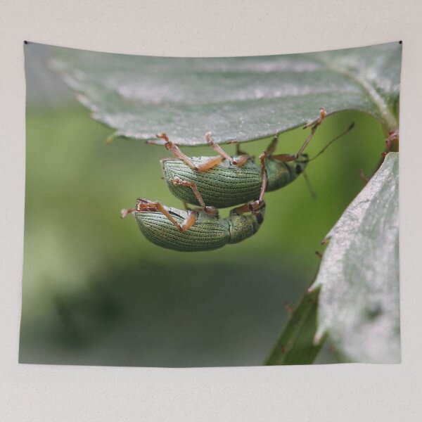 Item preview, Acrobatic Romance designed and sold by cuprum.