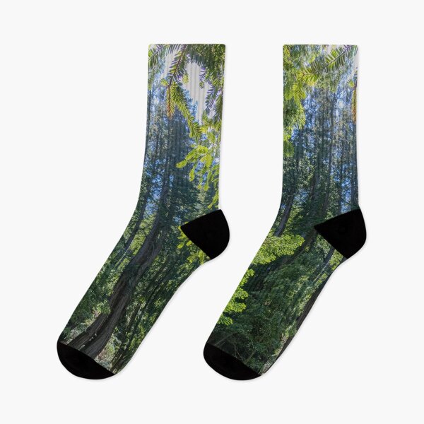Item preview, Various Shades of Green in Muir Woods National Monument designed and sold by SafariByMarisa.