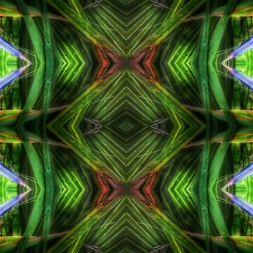 Artwork thumbnail, Kaleidoscope Yuba by kinkatstyle