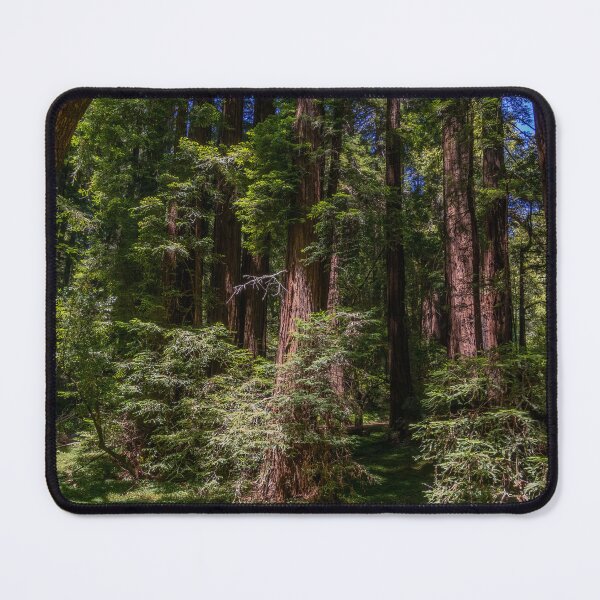 Item preview, Massive Redwood Trees in a Green Forest designed and sold by SafariByMarisa.