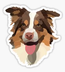 Australian shepherd Sticker