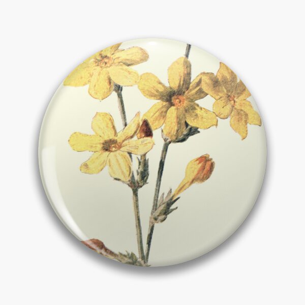 Artikelvorschau, Antike Winter-Jasmin-Blumenillustration - botanisch entworfen und verkauft von anthologies.