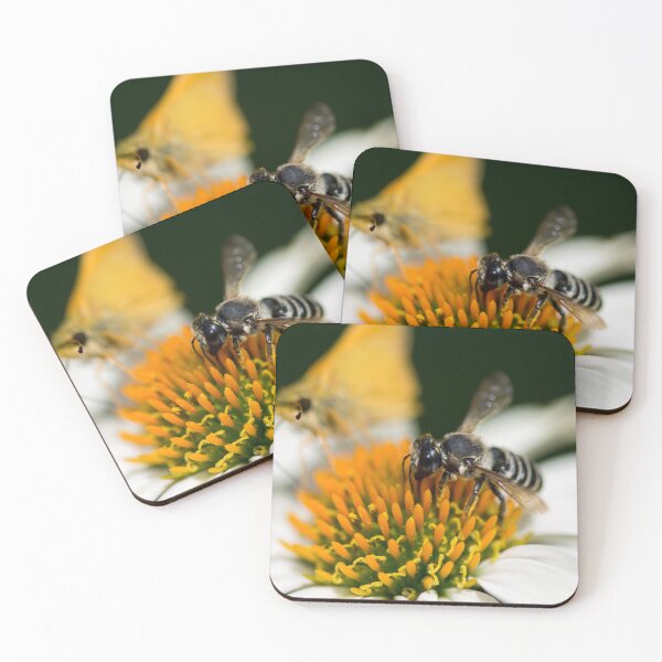 Item preview, Black and White Bee Photobombed by a Skipper designed and sold by Debra Martz.