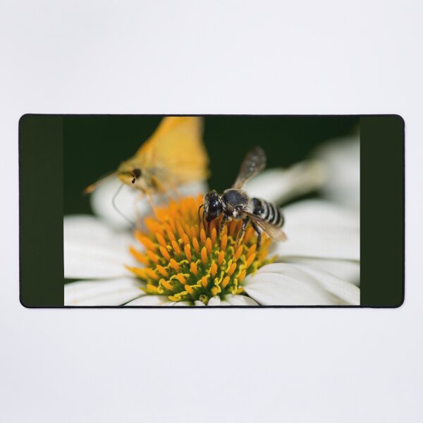 Item preview, Black and White Bee Photobombed by a Skipper designed and sold by Debra Martz.