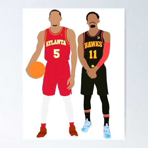 Hawks Art Posters for Sale