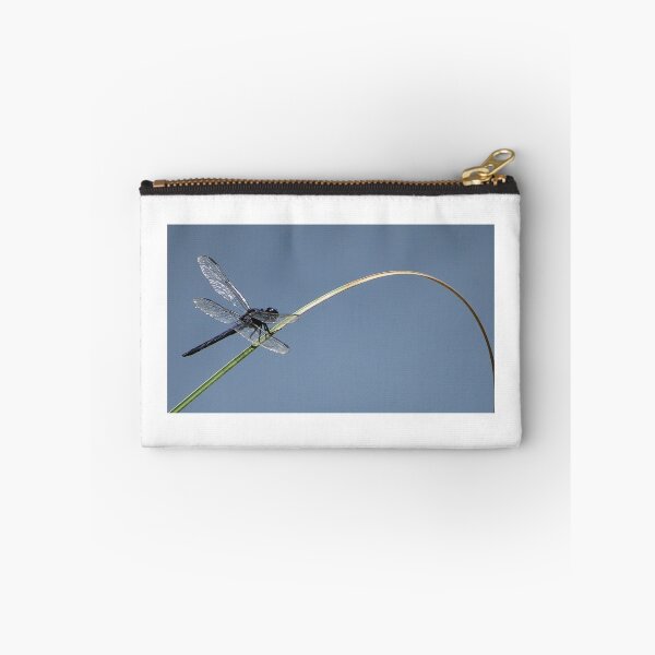 Item preview, Dragonfly Learning Curve designed and sold by Roger Easley.