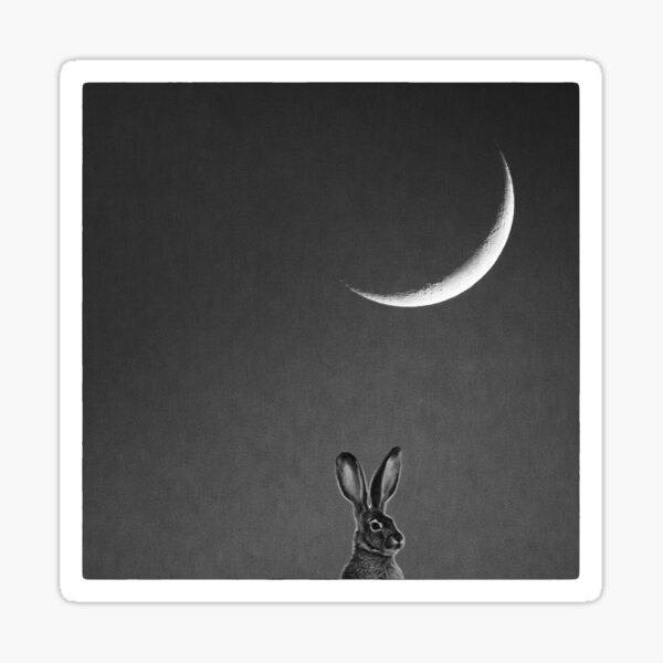 Item preview, Jackrabbit Moon designed and sold by Peter B Photography.