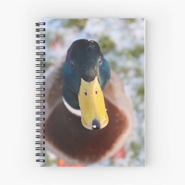 Item preview, Duck keeping an eye. designed and sold by gritsandbits.