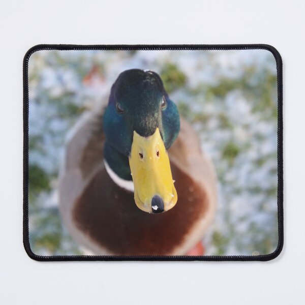 Item preview, Duck keeping an eye. designed and sold by gritsandbits.
