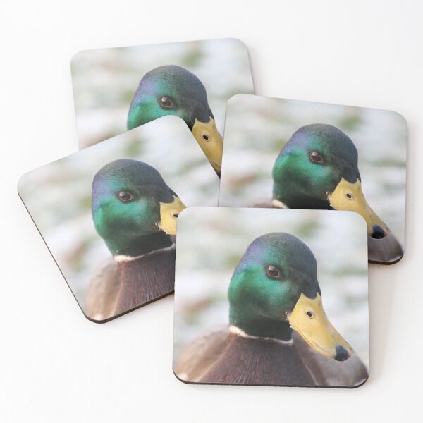 Item preview, Duck watching you designed and sold by gritsandbits.
