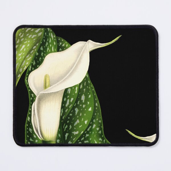 Item preview, Calla Lilly Seamless Pattern designed and sold by i-cottagedesign.