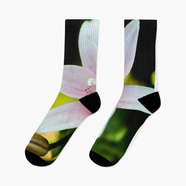 Item preview, Pink lily on black background designed and sold by olena2552.